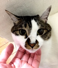 なにか？