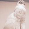 ジャジャーン！！！