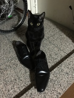 ダンとクツ