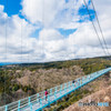 日本一長い吊橋