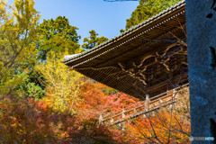 書写山 紅葉