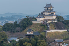 早朝の掛川城