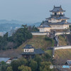 早朝の掛川城