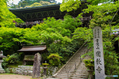 新緑の書写山円教寺