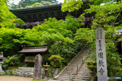 新緑の書写山円教寺