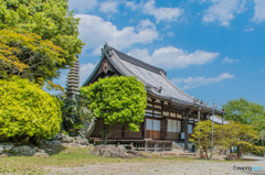 朝日山のお寺