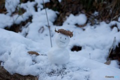 雪だるま