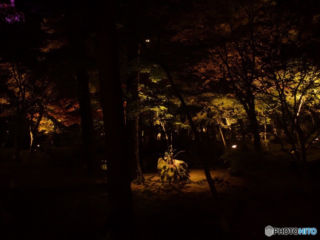 紅葉