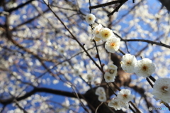 快晴ところにより