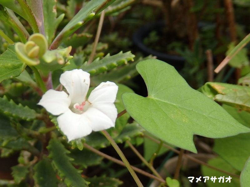 P9130002