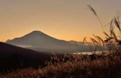 ススキと山中湖と富士