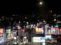 新宿の月夜