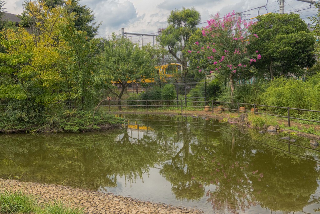 ちょっとお遊び　HDR画伯風