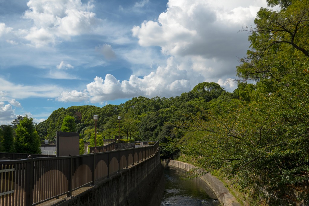 雲が綺麗な日