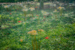 MANJUSHAGE A LA MONET