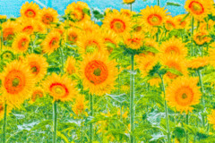 ちょっとお遊び