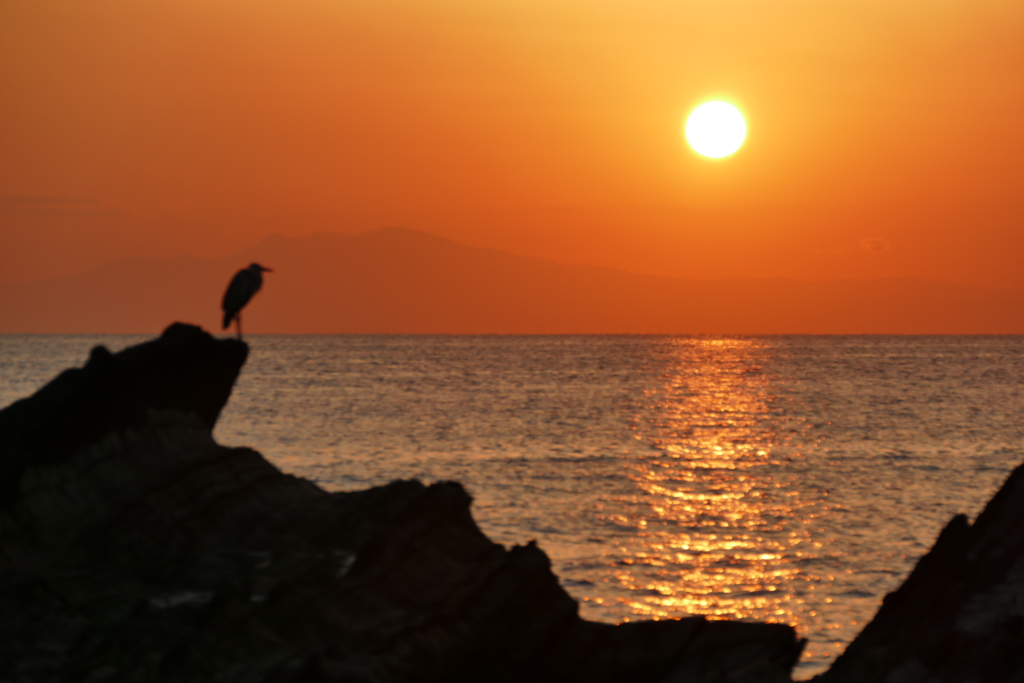 こいつは今頃どうしているのだろう。