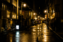 今日も雨