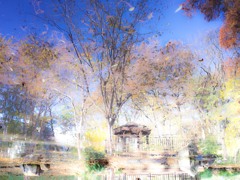 12月の池　カラー