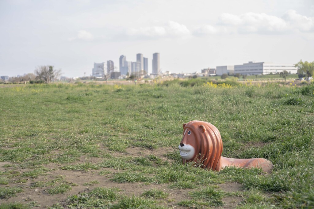 二子玉川のライオン　横から