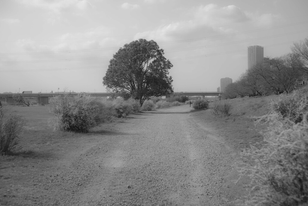 何となく懐かしい