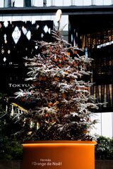 エルメスのツリー