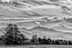 牧場と富士山　モノクロ