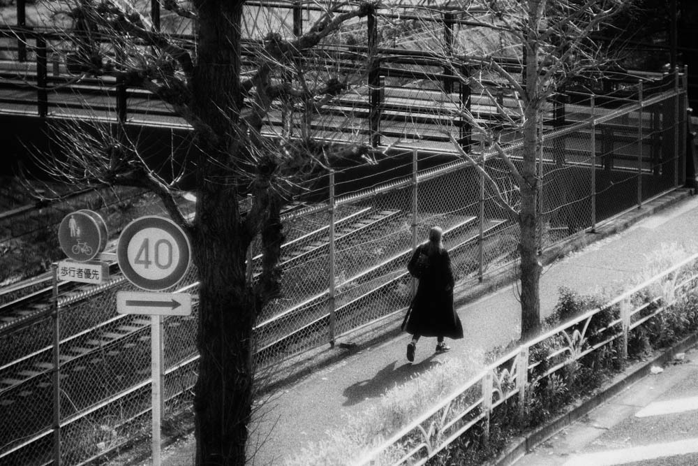 歩道橋からの眺め