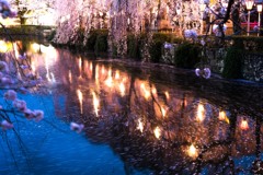 三島大社　夕暮れ