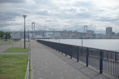 レインボーブリッジのある景色