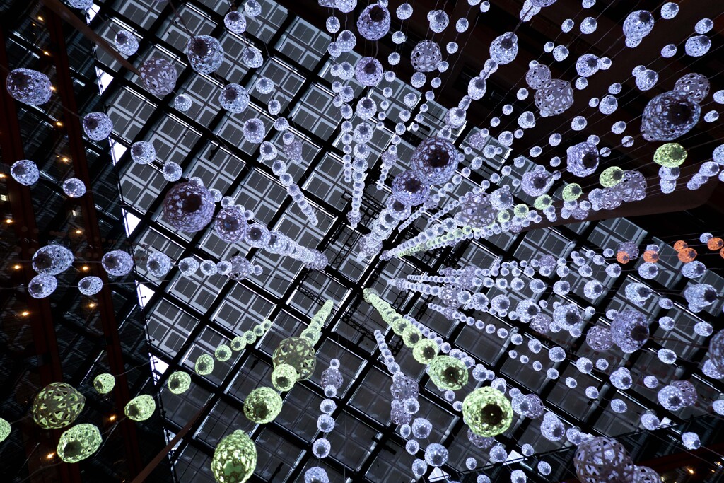 kitteのツリーを下から見上げてみる