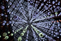 kitteのツリーを下から見上げてみる