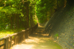 哲学堂公園