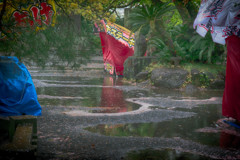 花散らしの雨