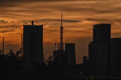 夕焼けと東京タワー