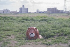 二子玉川のライオン　前から