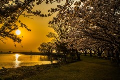 琵琶湖の夕日は美しい