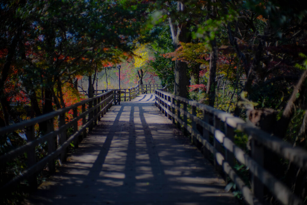 秋の公園