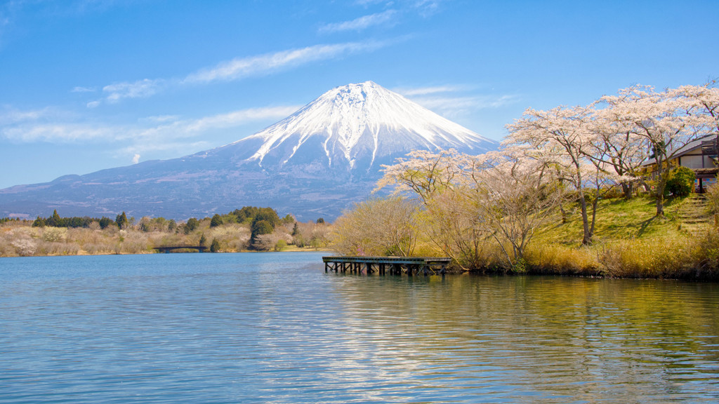 田貫湖の桜 By Bose59 Id 写真共有サイト Photohito