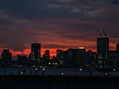 豊洲ぐるり公園　夕景