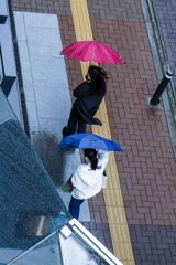 強風　その2