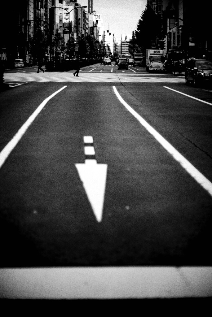 スナップ　矢のごとく