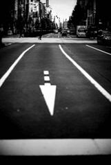 スナップ　矢のごとく