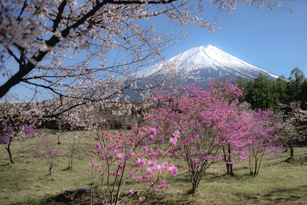 綺麗な場所　35ｍｍ