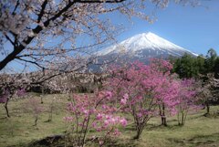 綺麗な場所　35ｍｍ