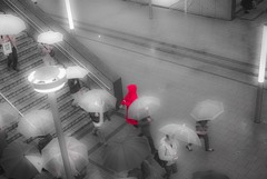 雨