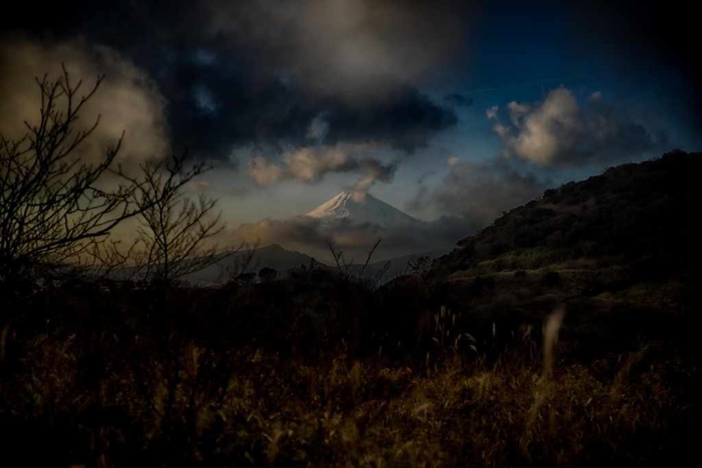 やっぱり見えると嬉しい