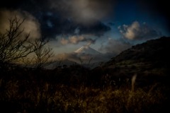 やっぱり見えると嬉しい