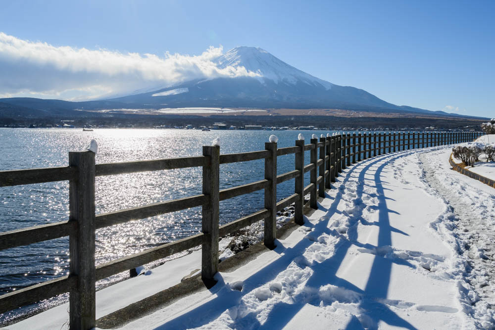 山中湖　長池親水公園