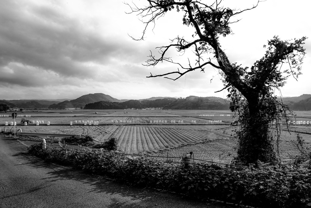 田園風景(福島）